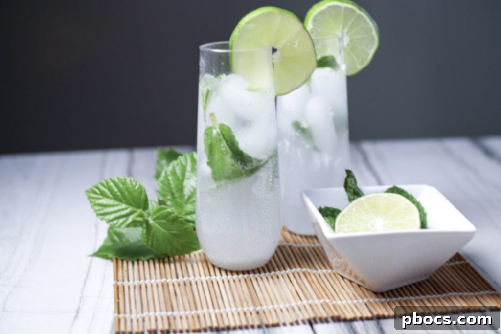 Keto Mojito Drink Recipe