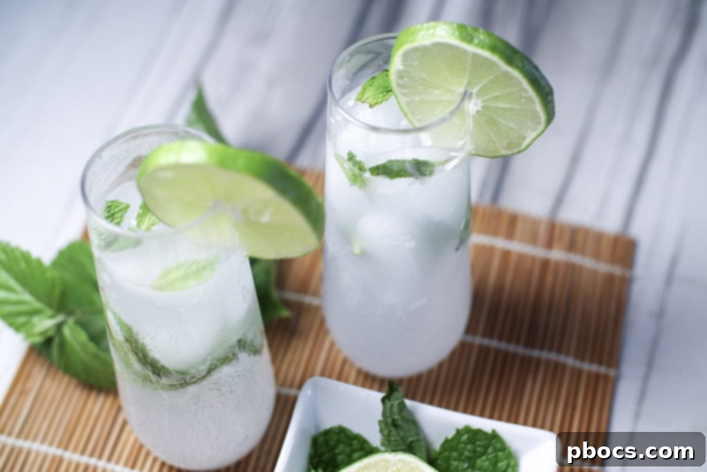 Keto Mojito Drink Recipe
