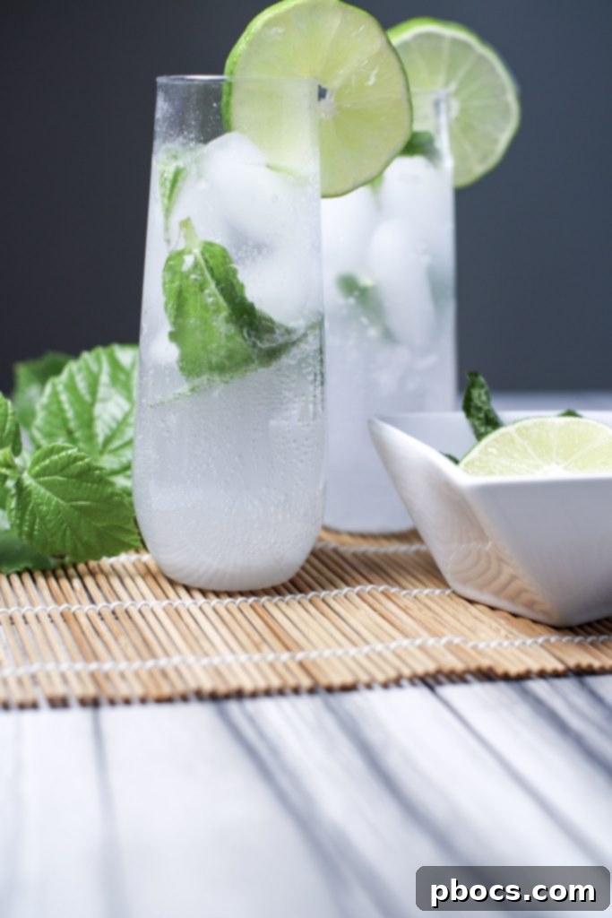 Keto Mojito Drink Recipe