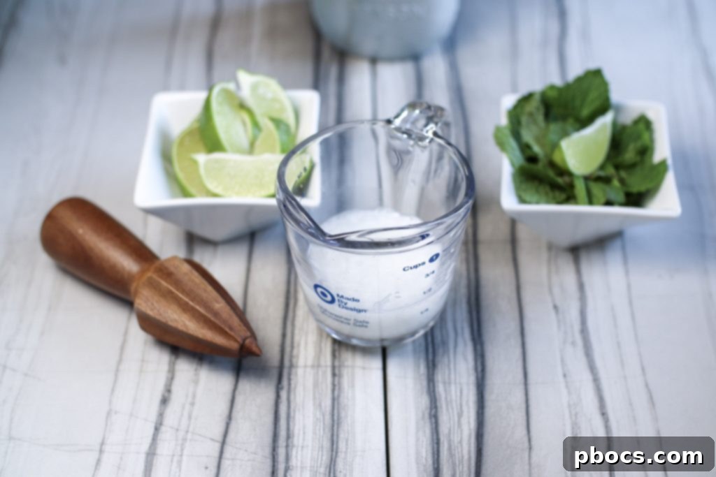 Keto Mojito Drink Recipe