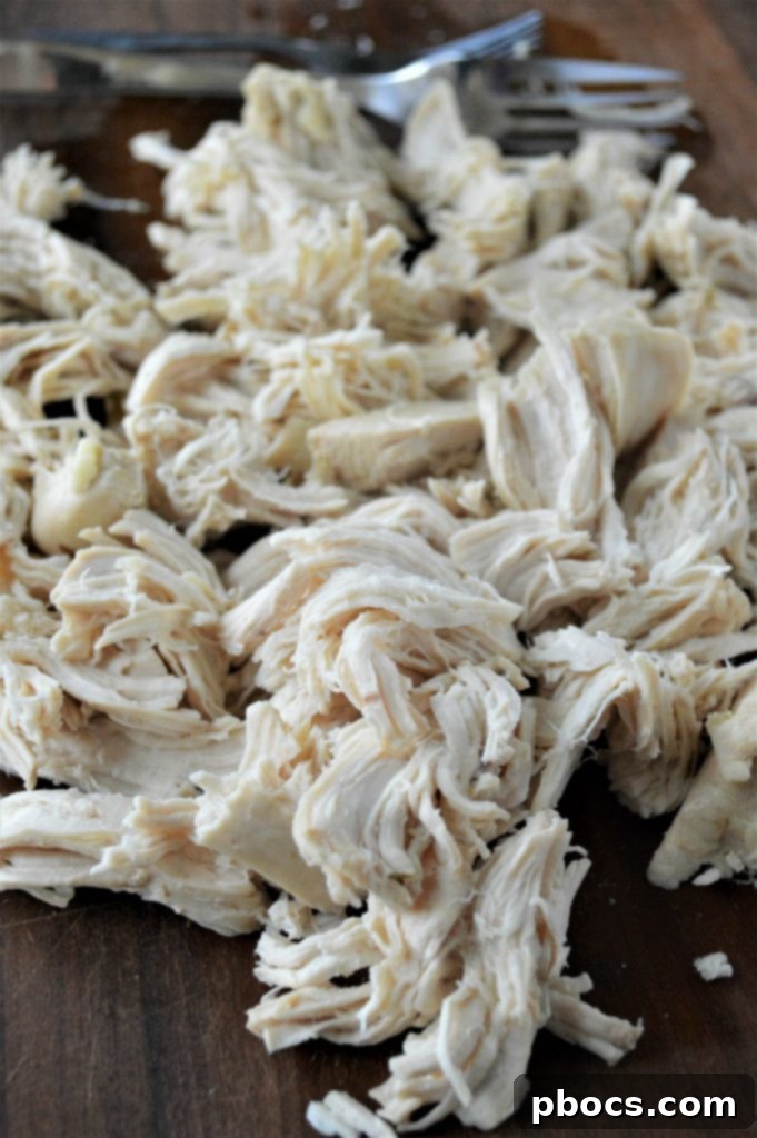 chicken soup cooking Simmering Chicken and Broth for Low Carb Soup