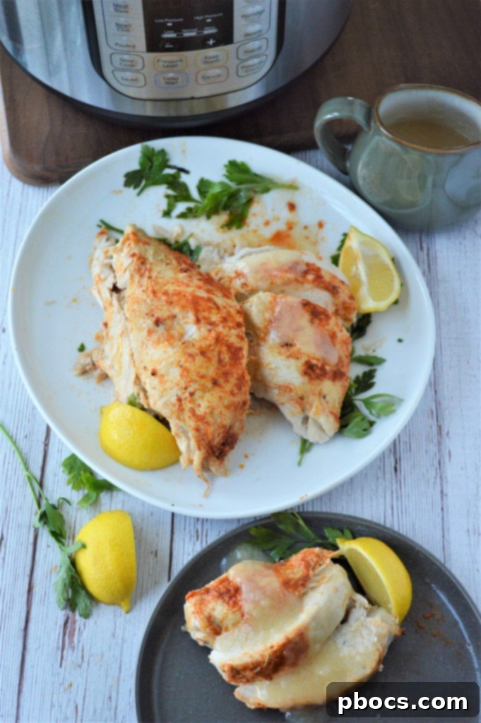 Lemon Garlic Butter Turkey Breast