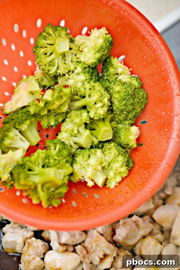Chicken and Broccoli Coated in Teriyaki Sauce