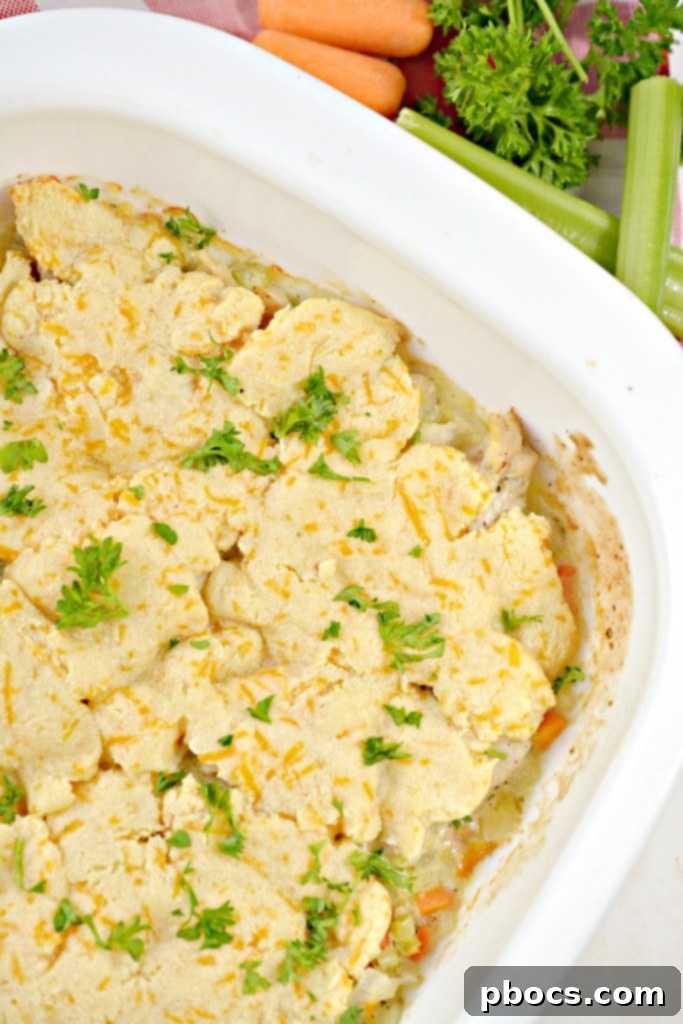 Baked Keto Turkey Pot Pie, golden and delicious