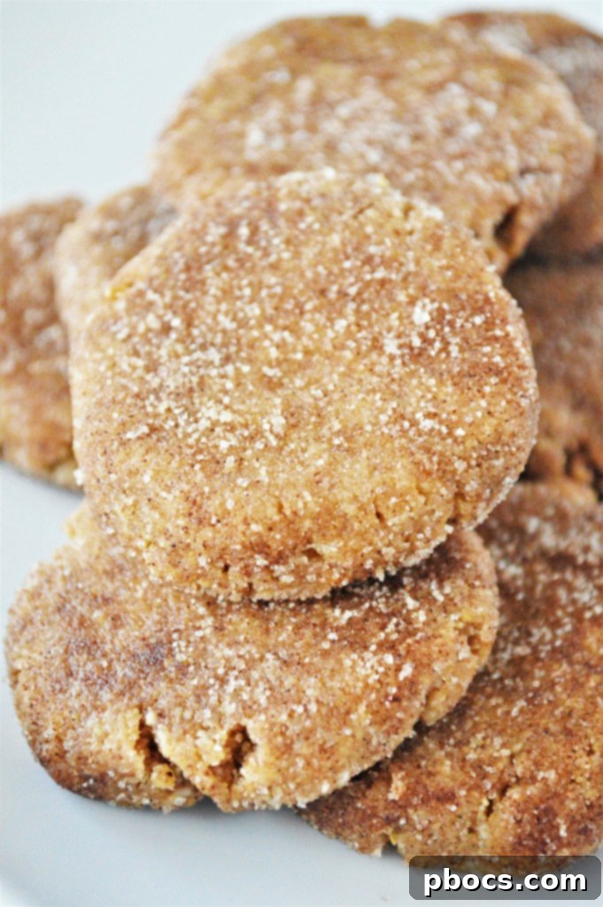 Irresistible Keto Snickerdoodle Cookies Recipe