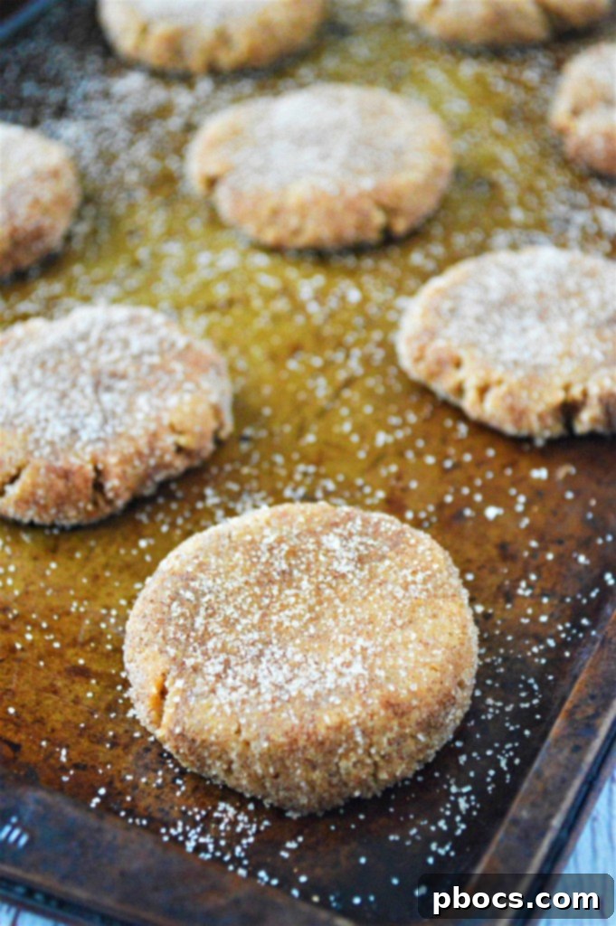 Finished keto snickerdoodle cookies