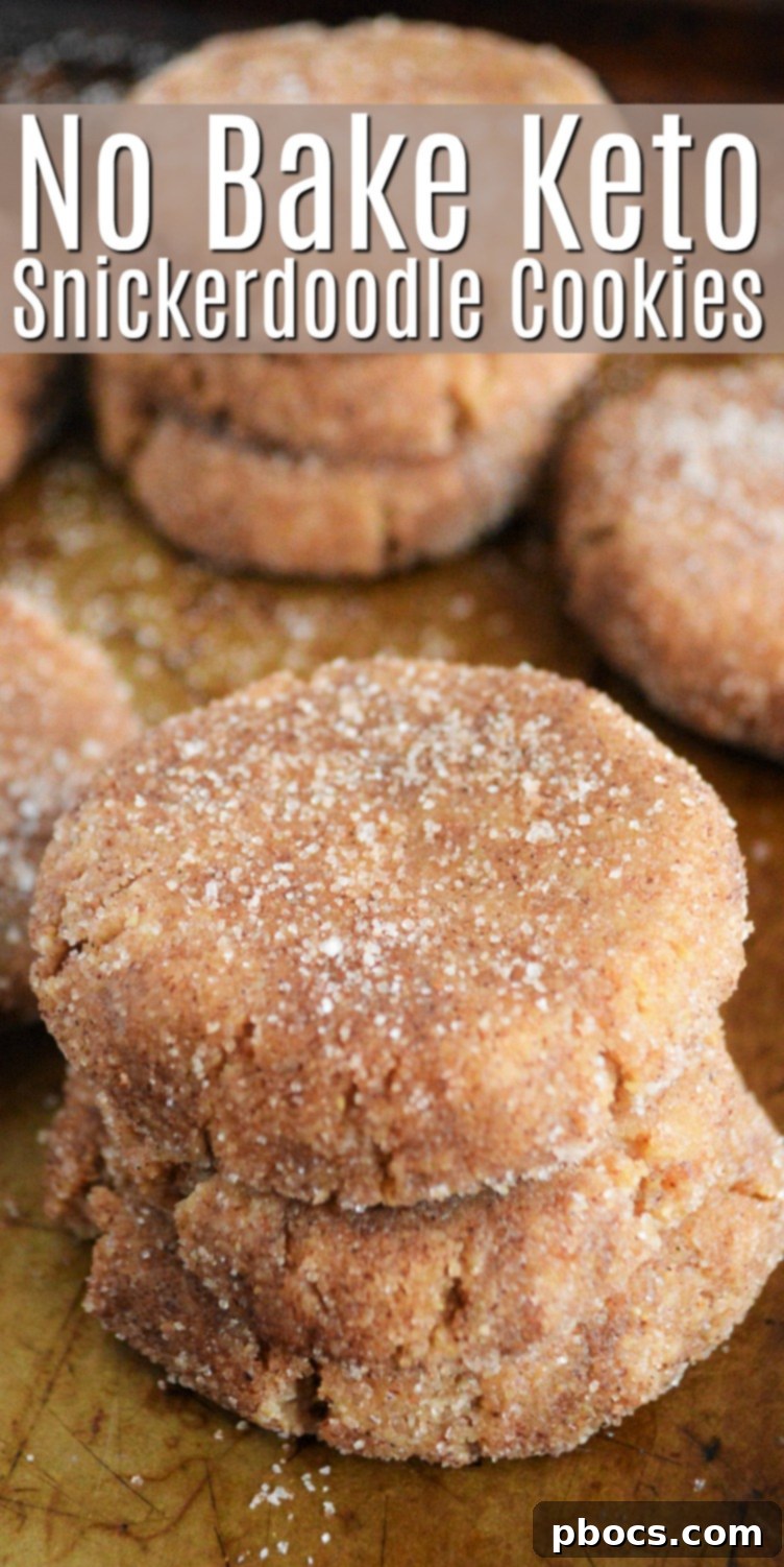 Keto Snickerdoodle Cookies Recipe Pin