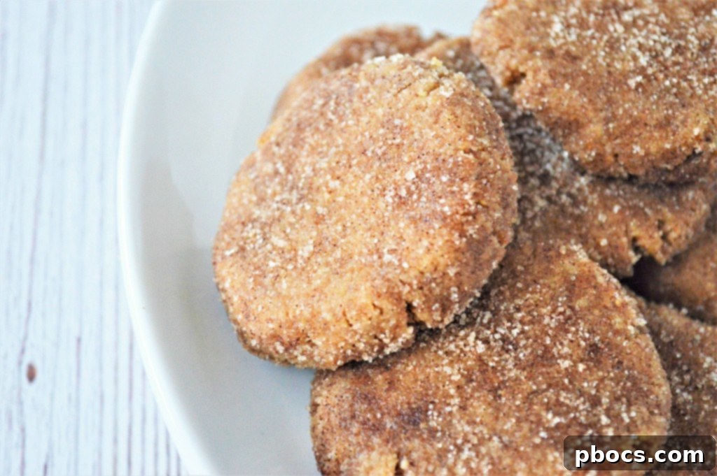 Easy No-Bake Keto Snickerdoodle Cookies