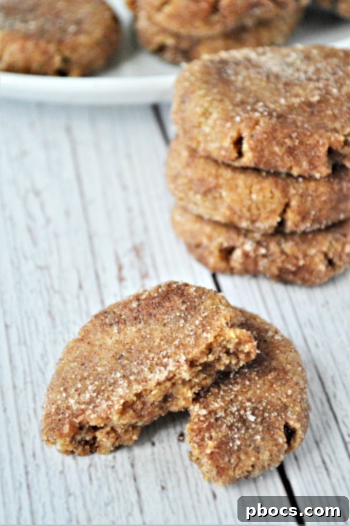 Quick Keto No-Bake Cookies