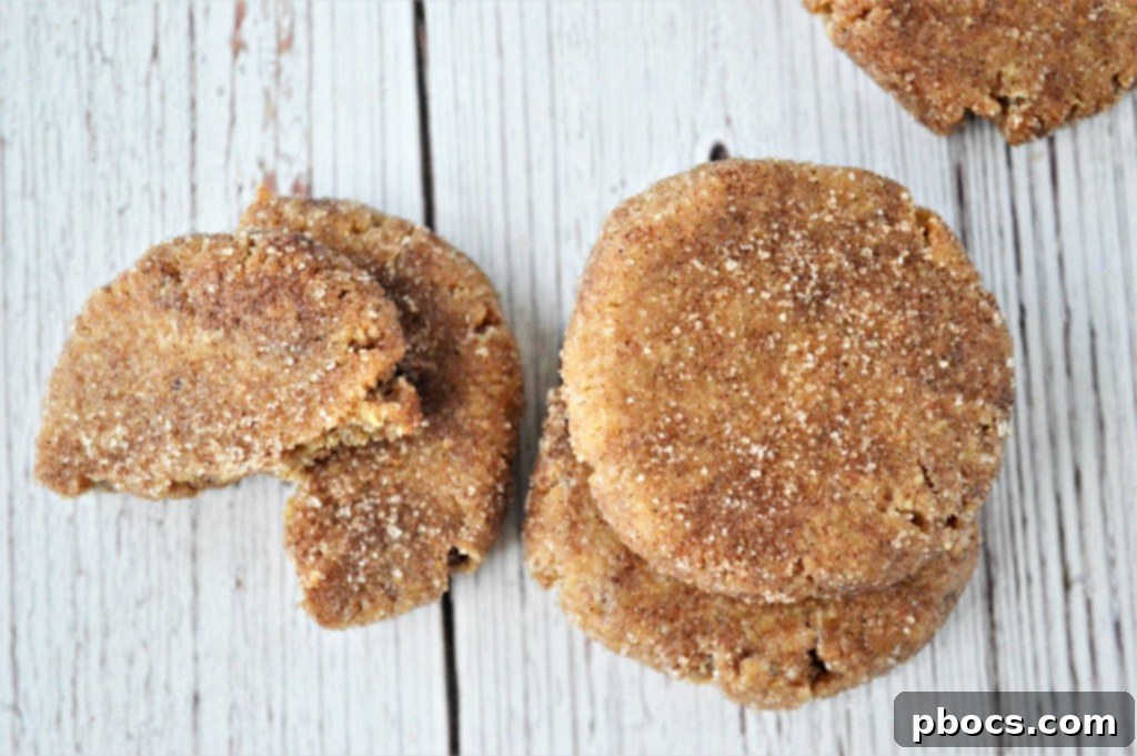 Keto Holiday Snickerdoodle Cookies