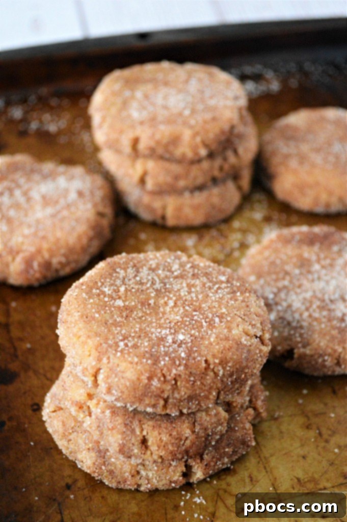 Almond Butter No-Bake Snickerdoodles