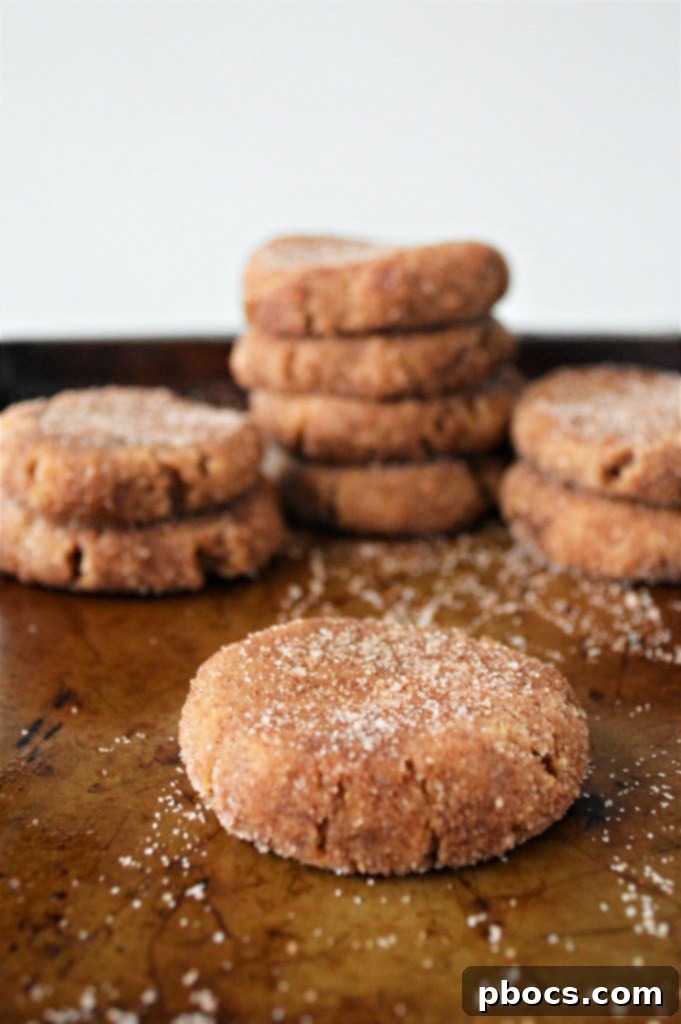 Prepare Keto Snickerdoodles Ahead