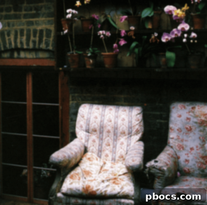 Bohemian Styled Dining Area with Rustic Table and Eclectic Chairs