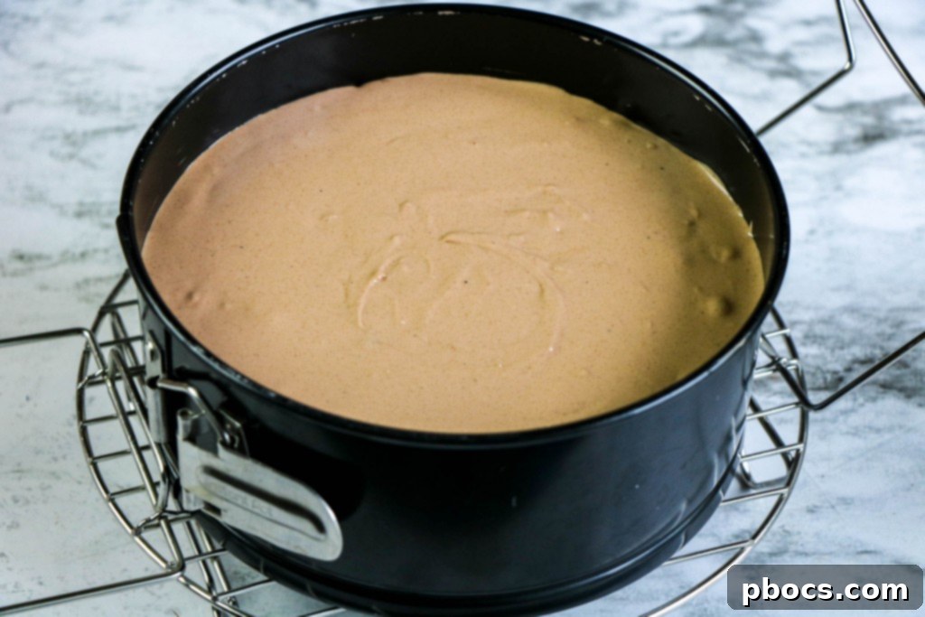 Guilt-Free Chocolate Cheesecake Delight 11 img 20308 10