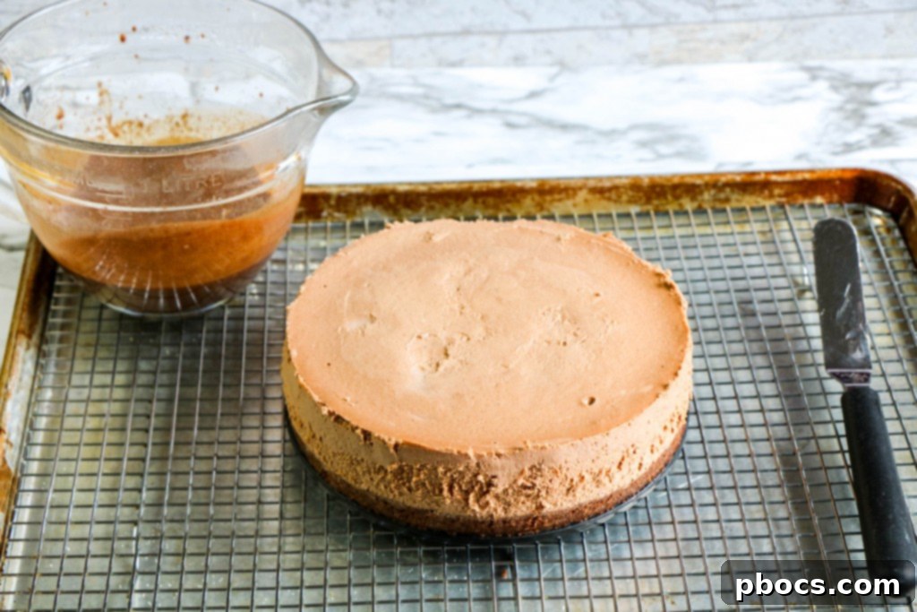 Guilt-Free Chocolate Cheesecake Delight 12 img 20308 11