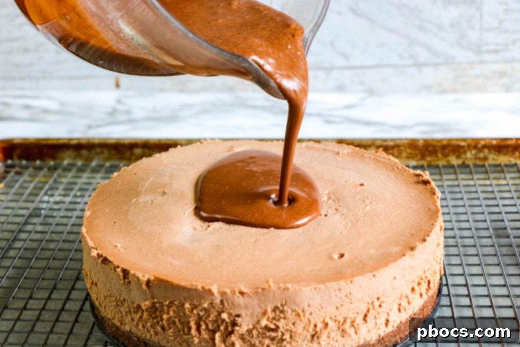 Guilt-Free Chocolate Cheesecake Delight 14 img 20308 13