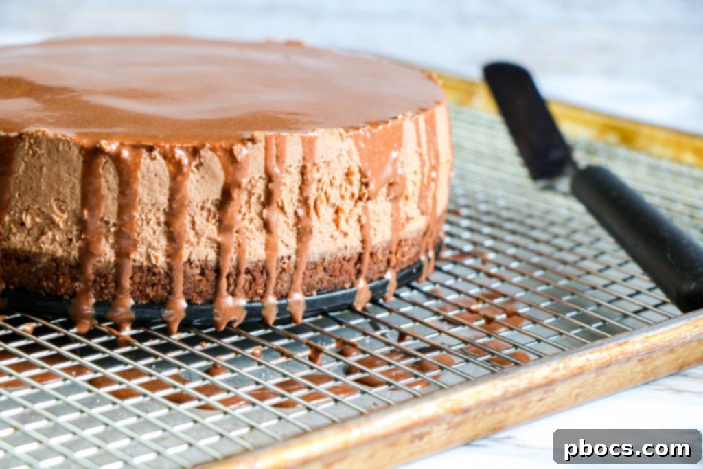 Guilt-Free Chocolate Cheesecake Delight 15 img 20308 14