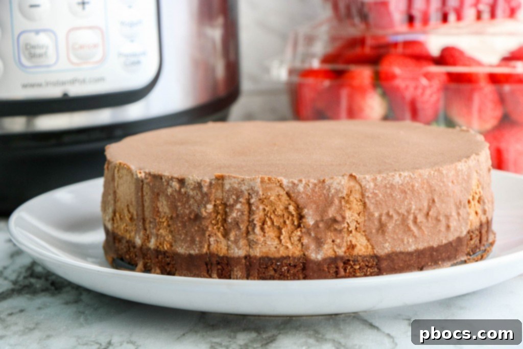 Guilt-Free Chocolate Cheesecake Delight 16 img 20308 15