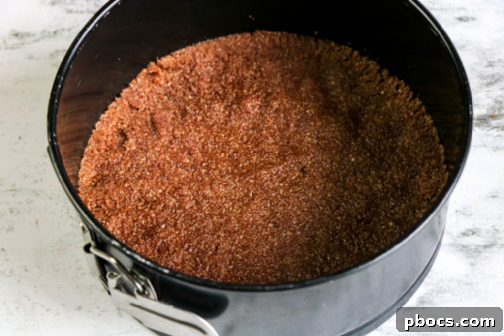 Guilt-Free Chocolate Cheesecake Delight 8 img 20308 7