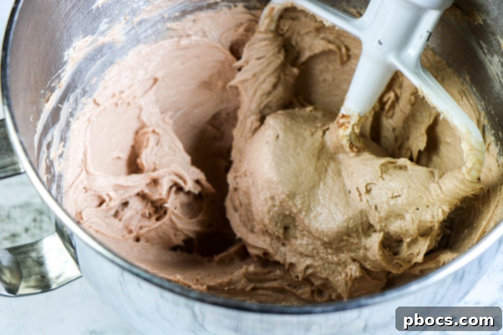 Guilt-Free Chocolate Cheesecake Delight 10 img 20308 9