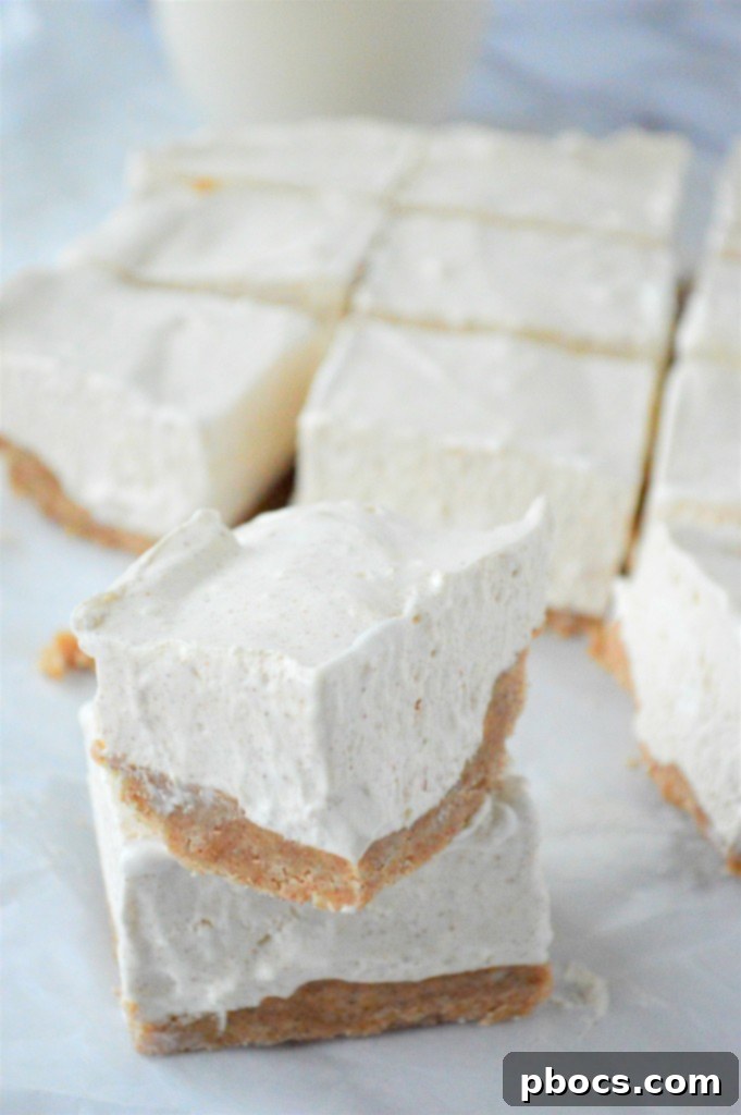 Keto Eggnog Cheesecake Bars 5 Simple and Quick Keto Holiday Desserts - No-Bake Eggnog Bars