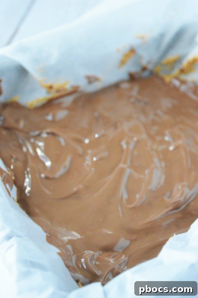 Effortless Keto Chocolate Peanut Butter Bars 13 Step 6: Placing the pan of bars in the freezer to chill and set properly.