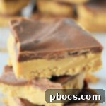 Effortless Keto Chocolate Peanut Butter Bars 15 No Bake Keto Chocolate Peanut Butter Bars thumbnail
