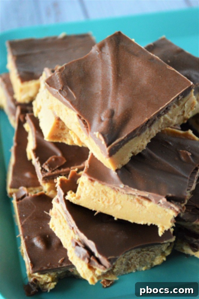 Effortless Keto Chocolate Peanut Butter Bars 5 No Bake Keto Chocolate Peanut Butter Bars arranged on a serving plate, ready to be enjoyed as a sweet treat.