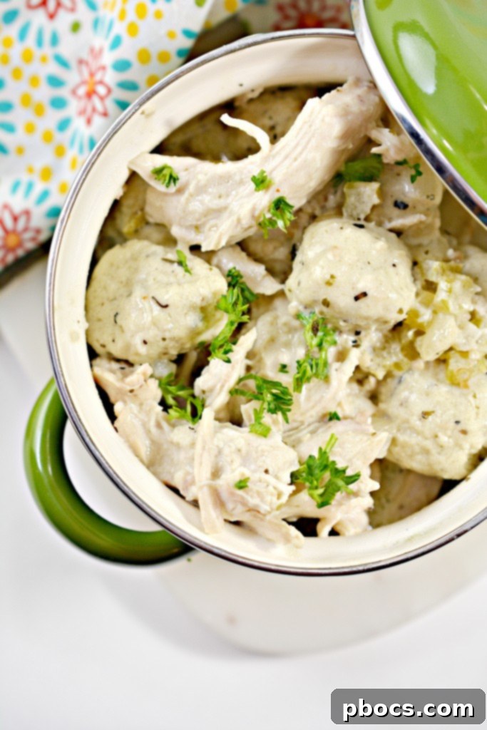 Hearty Keto Chicken & Dumplings Recipe for Low-Carb Comfort Food