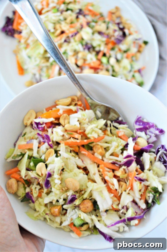 Zesty Keto Asian Slaw 4 Close-up of Low Carb Asian Slaw showing peanuts and colorful vegetables