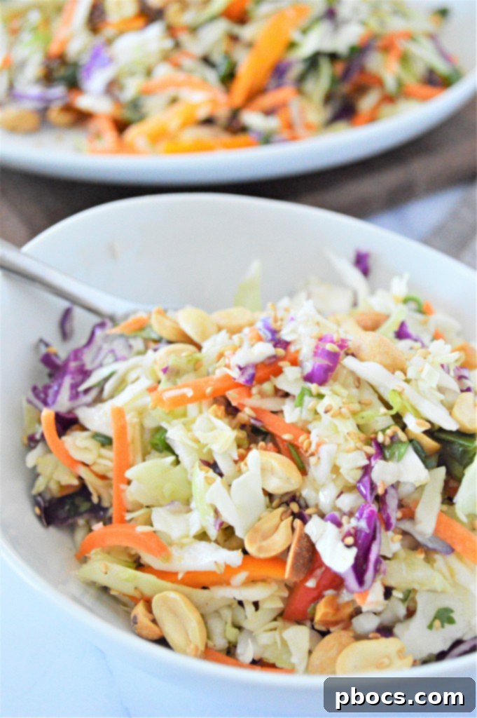 Zesty Keto Asian Slaw 8 Close-up of a meal prep container showing a separate dressing compartment