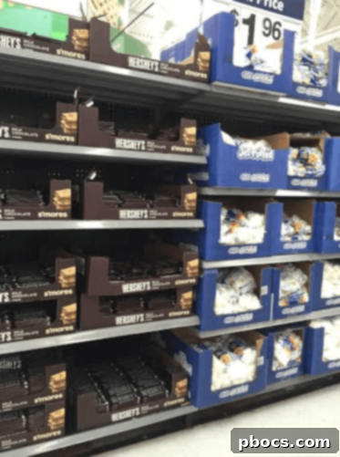 10 Minute Indoor S'mores Recipe