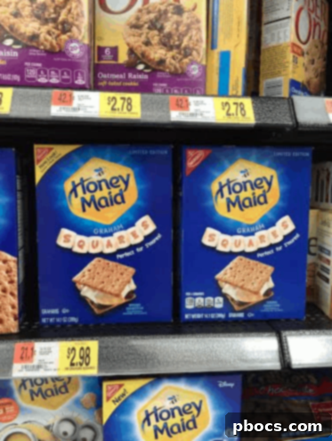 10 Minute Indoor S'mores Recipe