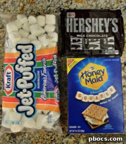 10 Minute Indoor S'mores Recipe