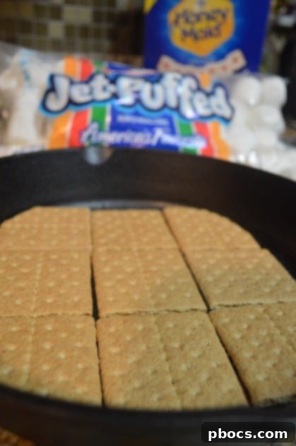 10 Minute Indoor S'mores Recipe