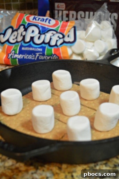 10 Minute Indoor S'mores Recipe