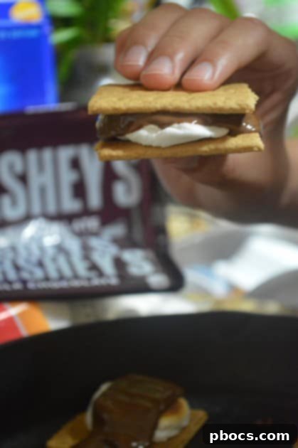 10 Minute Indoor S'mores Recipe