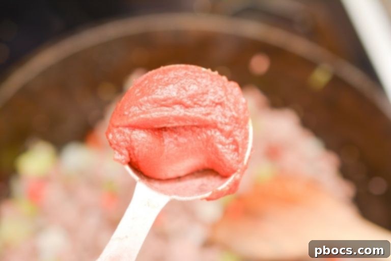 A Tablespoon of Tomato Paste Being Added