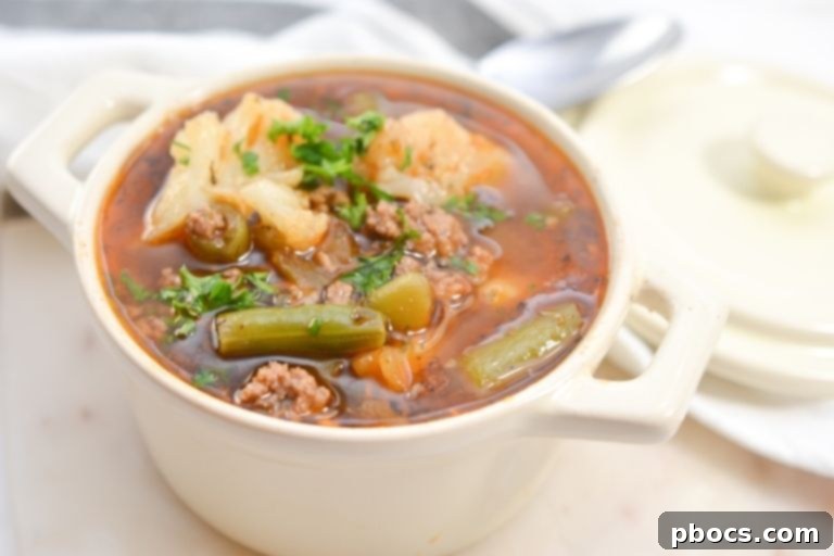 Horizontal View of Hearty Beef and Vegetable Soup