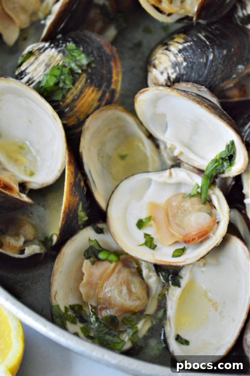 Ultimate Garlic Butter Clams 2 Garlic Butter Clams Recipe
