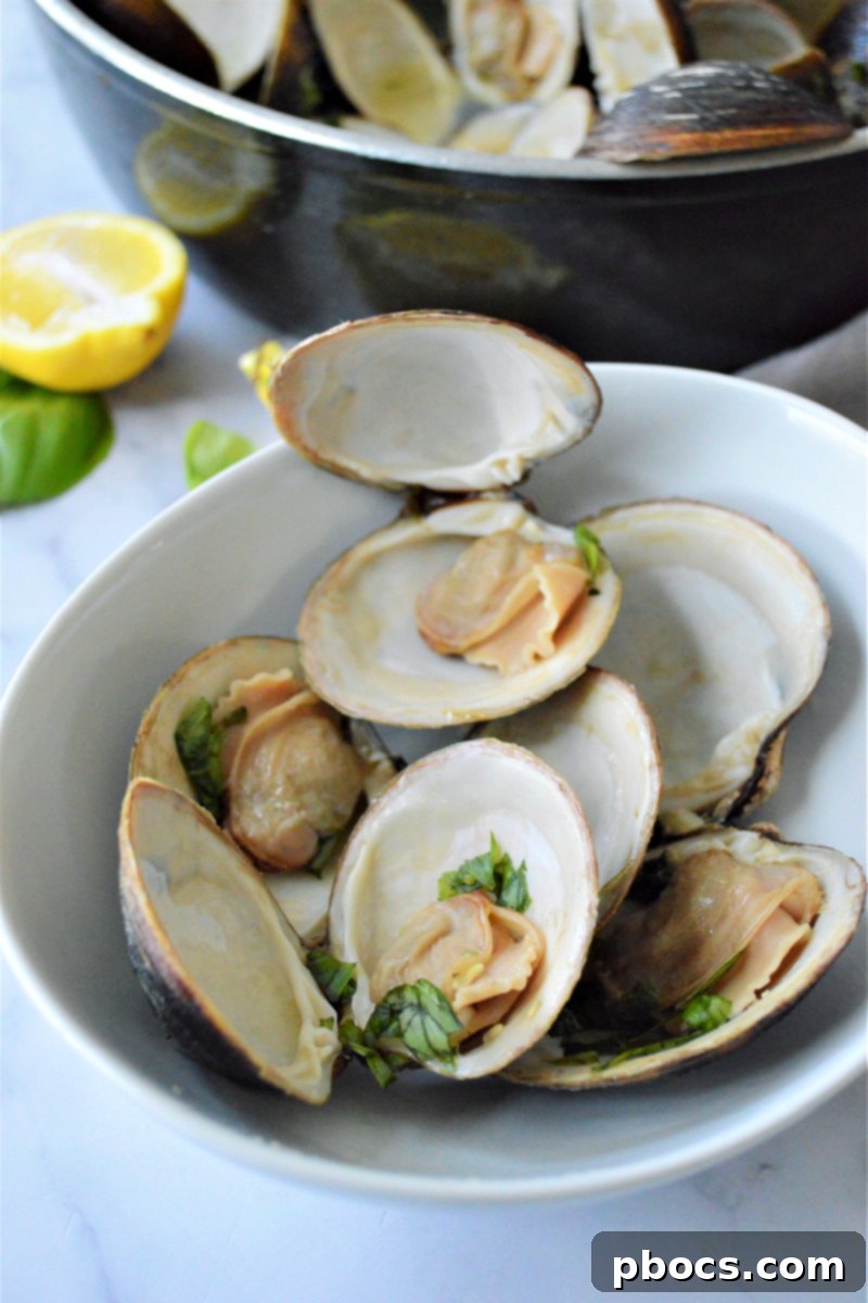 Ultimate Garlic Butter Clams 4 Garlic Butter Clams Recipe