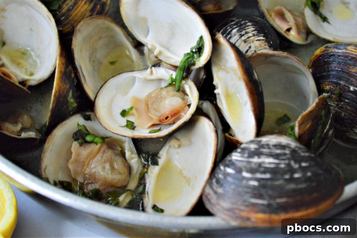 Ultimate Garlic Butter Clams 5 Garlic Butter Clams Recipe