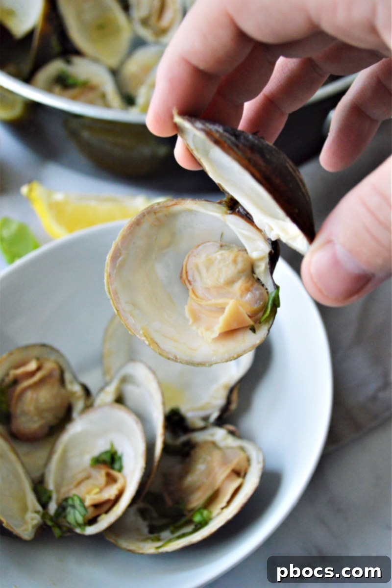 Ultimate Garlic Butter Clams 6 Garlic Butter Clams Recipe