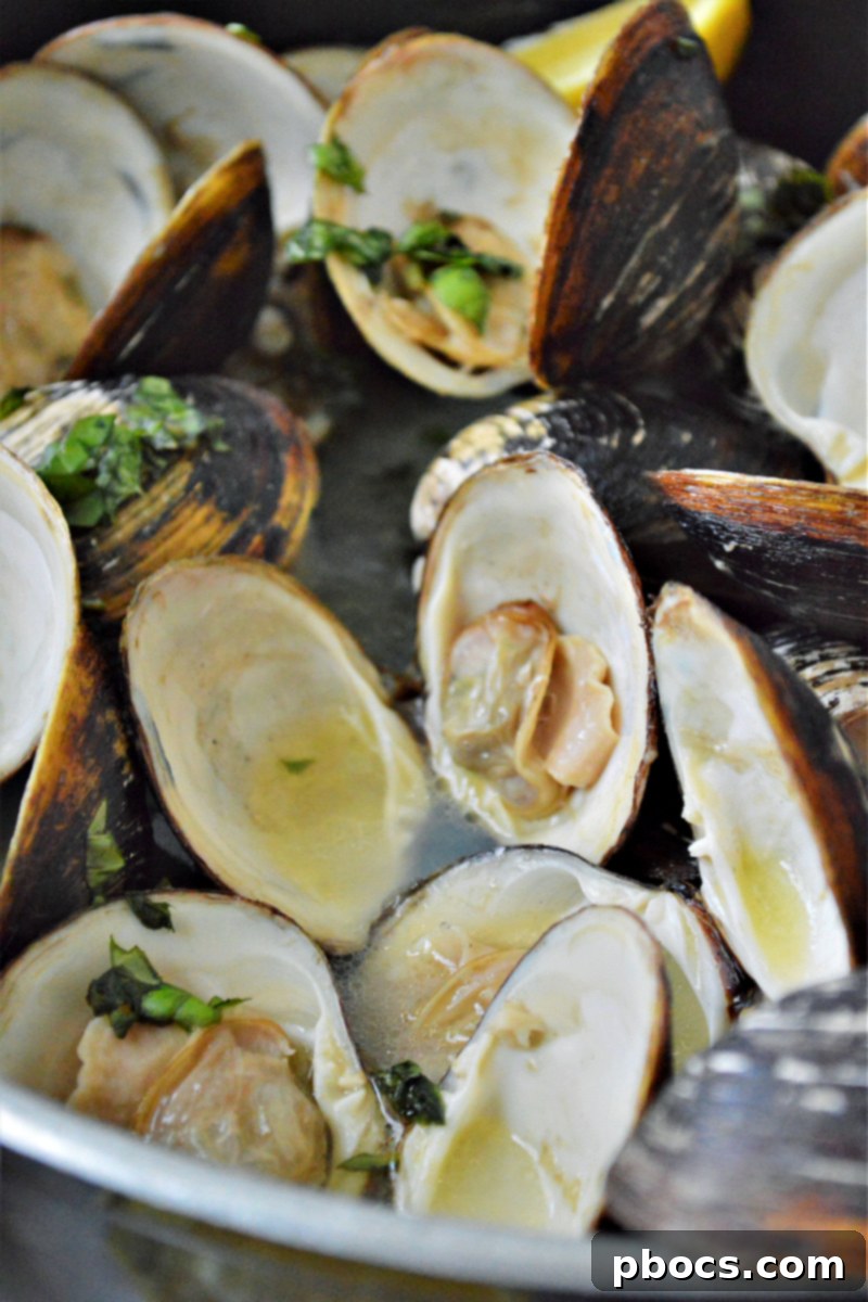 Ultimate Garlic Butter Clams 7 Garlic Butter Clams Recipe