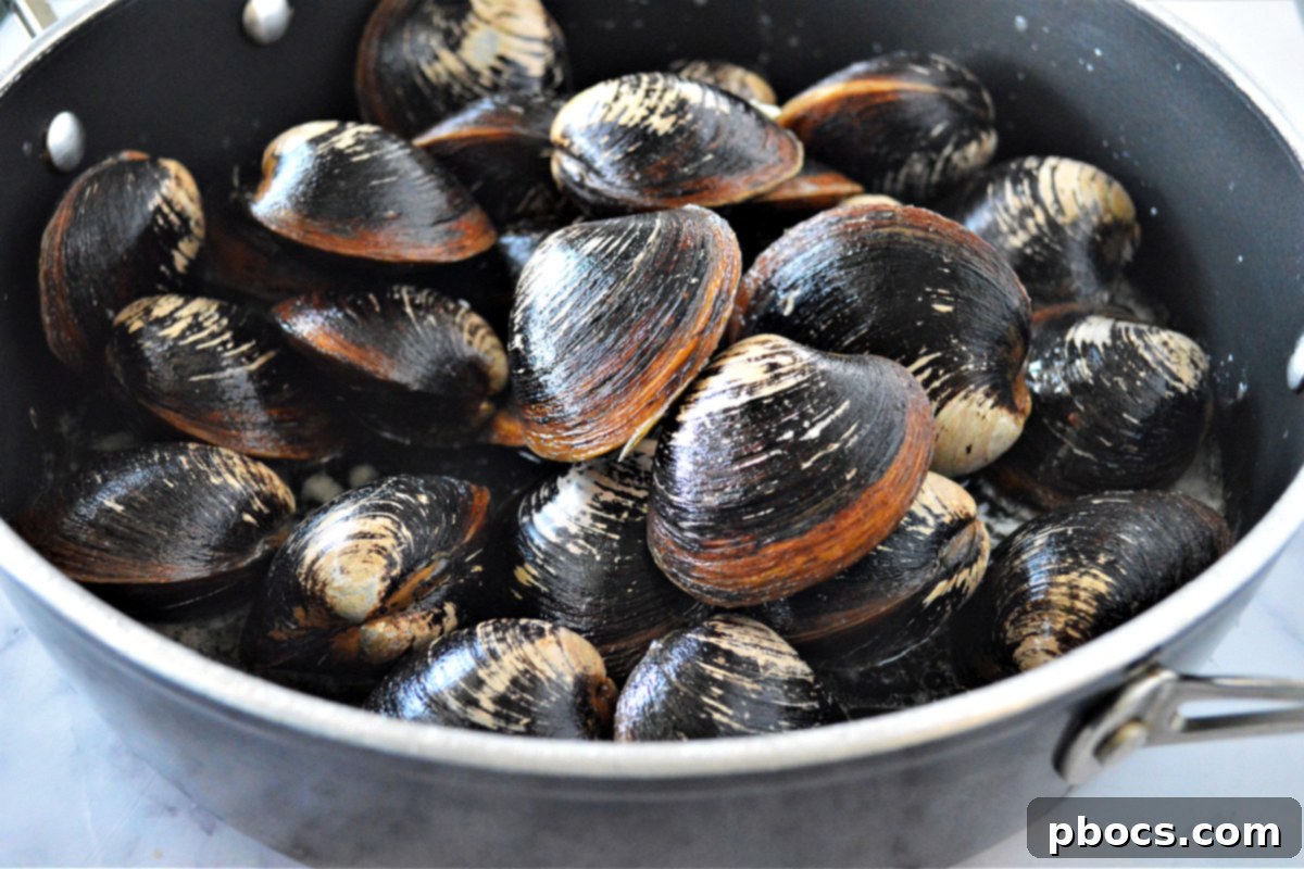Ultimate Garlic Butter Clams 8 Garlic Butter Clams Recipe