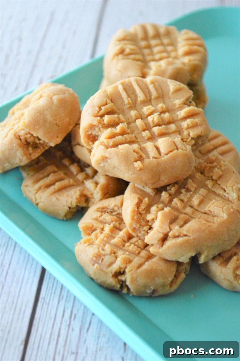 Coconut Flour Peanut Butter Cookies - No-Bake Recipe