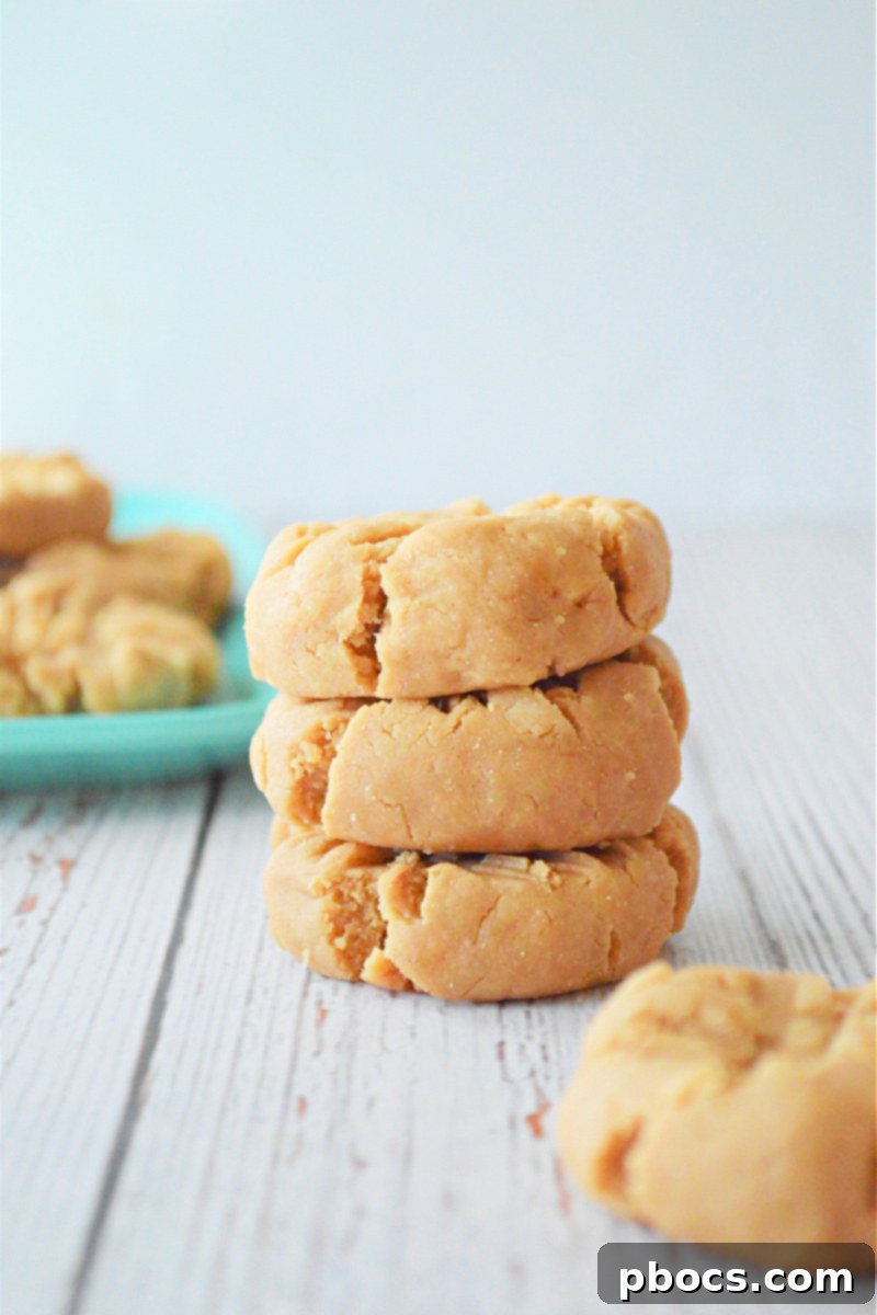 Coconut Flour Peanut Butter Cookies - No-Bake Recipe