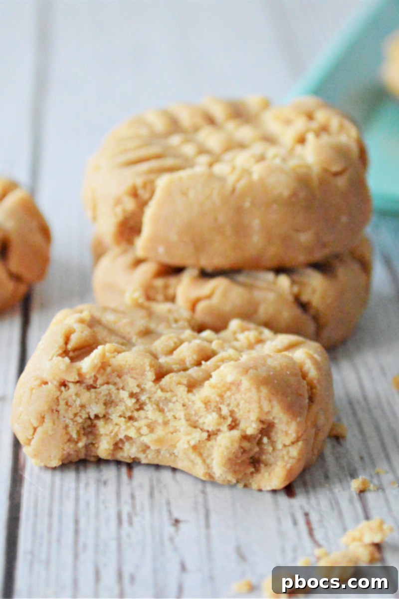 Coconut Flour Peanut Butter Cookies - No-Bake Recipe