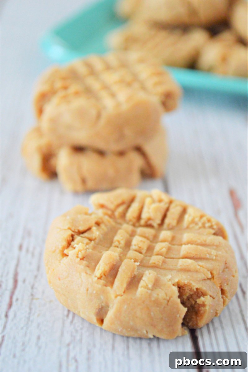 Coconut Flour Peanut Butter Cookies - No-Bake Recipe