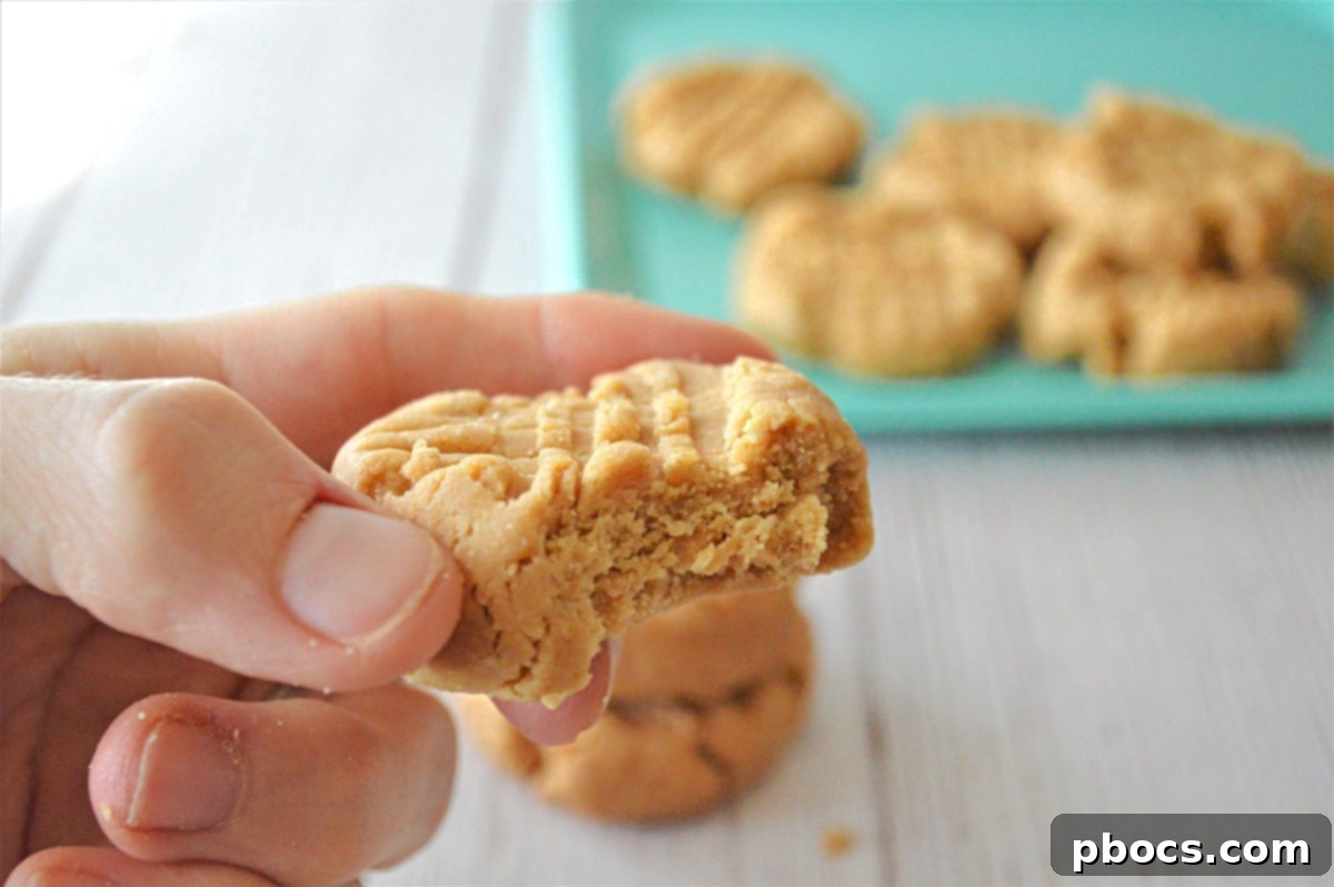 Coconut Flour Peanut Butter Cookies - No-Bake Recipe